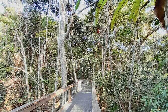 4-Day Private Coastal Escape from Sydney to Mid North Coast - FAQs