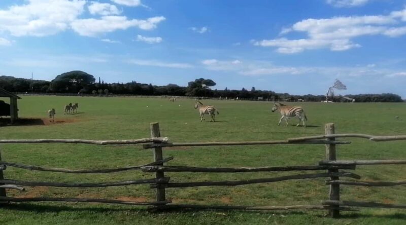 4 Day Private Istria Tour from Zagreb: Explore & Enjoy - FAQs