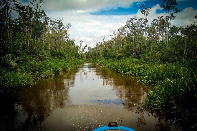 4-Day Private Orangutan and Bornean Primates Tour from Pangkalanbuun - An In-Depth Look at the 4-Day Itinerary