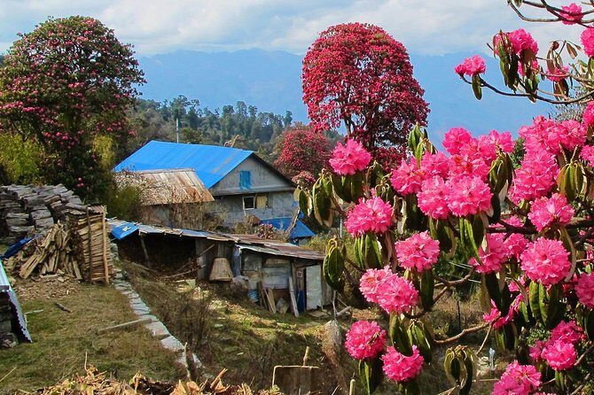 4-Day Private Poon Hill Trekking Tour - Final Thoughts: Why Consider This Trek?