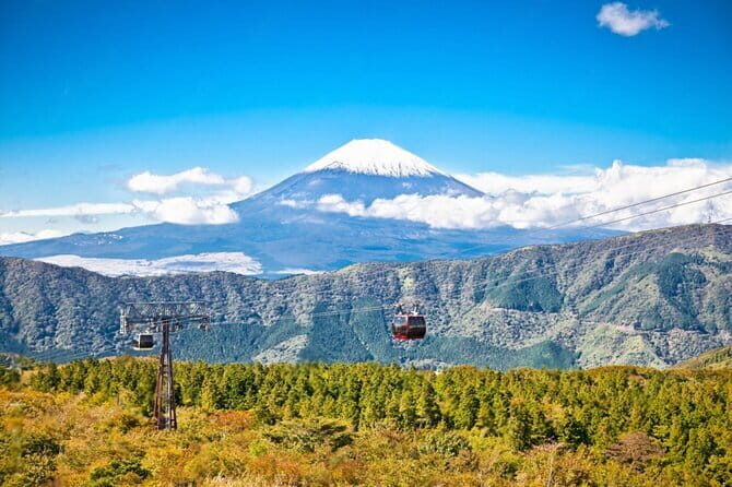 4-Day Private Tour MT Fuji, Kamakura, Hakone, Nikko - Frequently Asked Questions (FAQ)