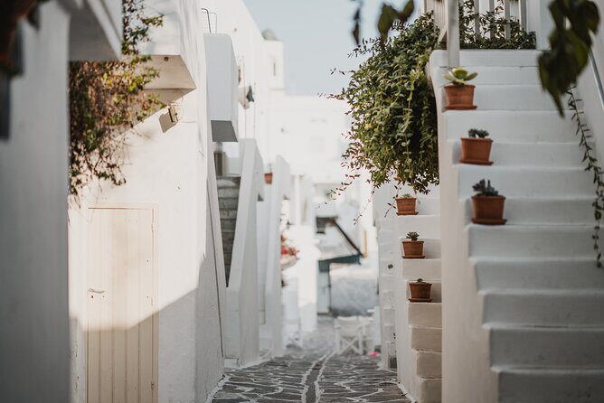 4 Day Private Tour to Paros, Mykonos, Santorini, - Who Is This Tour Best For?