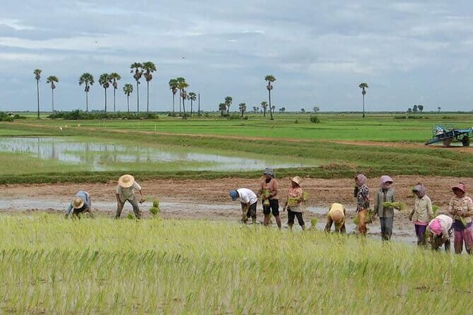 4-Day Private Tours of the Temples and Beyond from Siem Reap - The Bottom Line