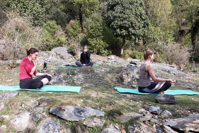 4-Day Private Yoga Trekking in The Indian Himalayas in Daramshala - An In-Depth Look at the Tour