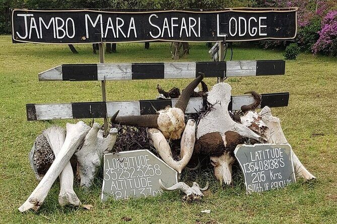 4 Day Safari Maasai Mara, Lake Nakuru and Lake Naivasha - Value and Cost Consideration