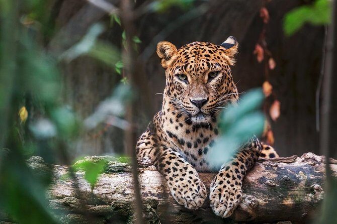 4-Day Sri Lanka Coast Tour - FAQ