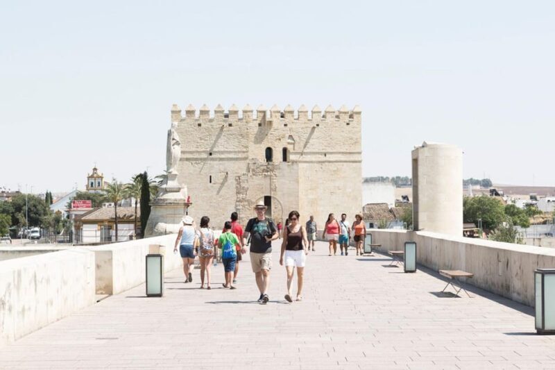 4-Day Tour Andalusia: Cordoba & Seville from Madrid - Transportation and Comfort