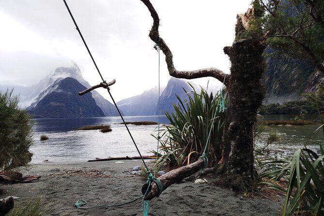 4 Day Tour to Milford Sound, Mount Cook & More from Auckland - Final Thoughts: Is This Tour Right for You?