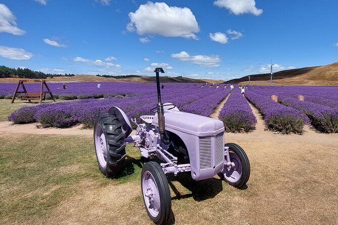 4 Day Tour to Milford Sound, Mount Cook & More from Christchurch - Who Is This Tour Best Suited For?