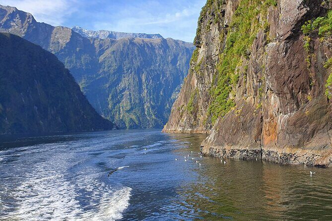 4 Day Tour to Milford Sound, Mount Cook & More from Queenstown - FAQ