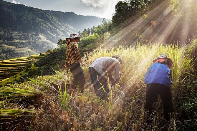 4-day Trekking in Ha Giang - Tay Con Linh - Authentic Experiences and Hidden Gems