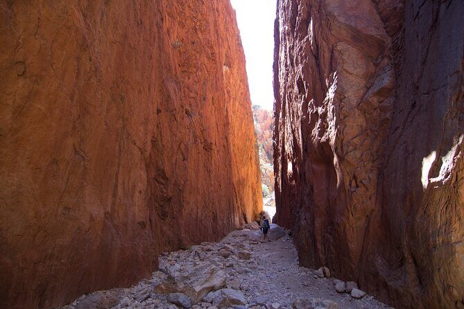 4 Day Uluru Kata Tjuta Kings Canyon West MacDonnell ex.Ayers Rock - Transportation and Group Size