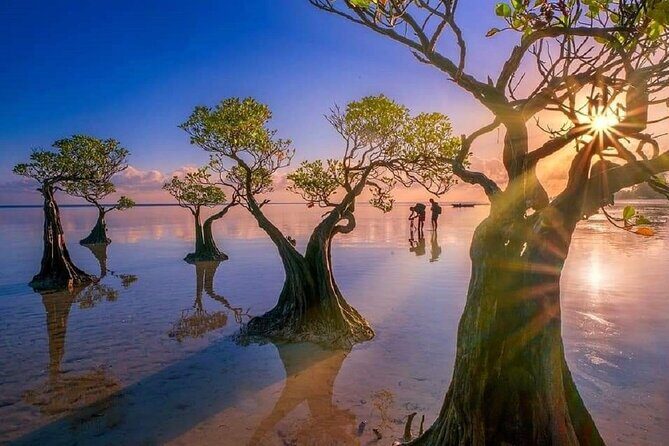 4 Days 3 Nights tour to Explore Best of West Sumba and East Sumba - Key Points