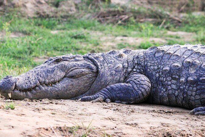 4 Days Bardia National Park Tour - Exploring the 4-Day Bardia National Park Tour