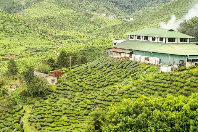 4 Days Best of Kerala Tour with Private Houseboat, Sightseeing & Car - A Detailed Look at the 4-Day Kerala Tour