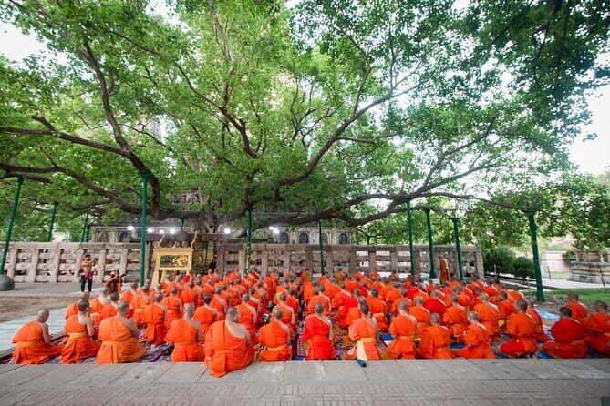 4 Days Buddhist Dharma Tour Exploring Key Sacred Sites - Key Points