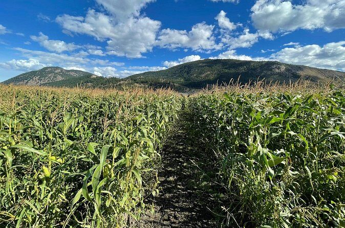 4 Days Canadian Rockies Fall/Spring Tour - FAQ