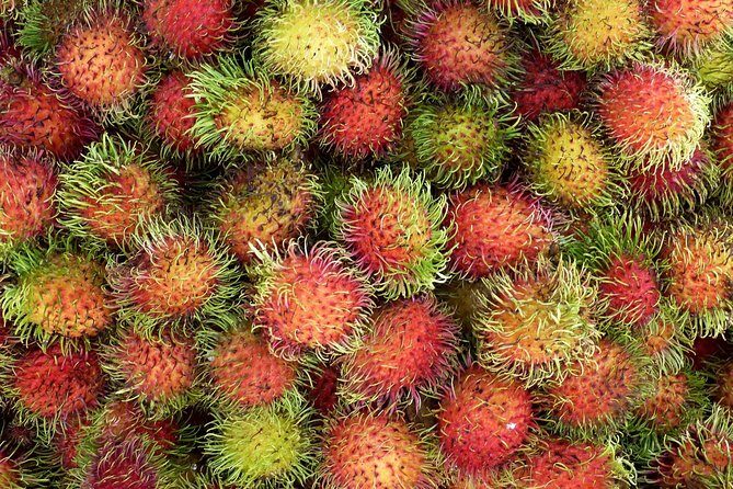 4 Days Essence Of Southern Vietnam - The Sum Up