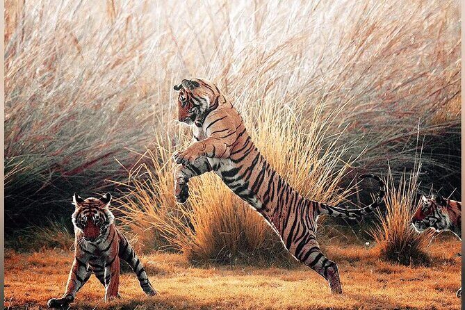 4 Days Guided Jaipur, Ranthambore Tigers & Udaipur Tour With Safari & Hotels - Frequently Asked Questions