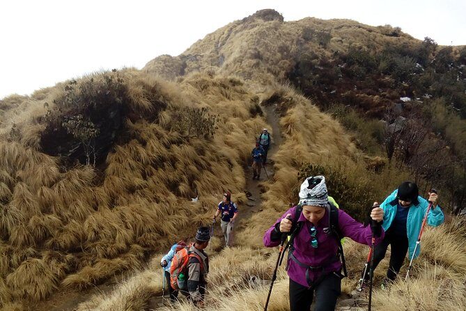 4 Days Mardi Himal Base Camp Trek from Pokhara - A Deep Dive into the 4-Day Mardi Himal Base Camp Trek