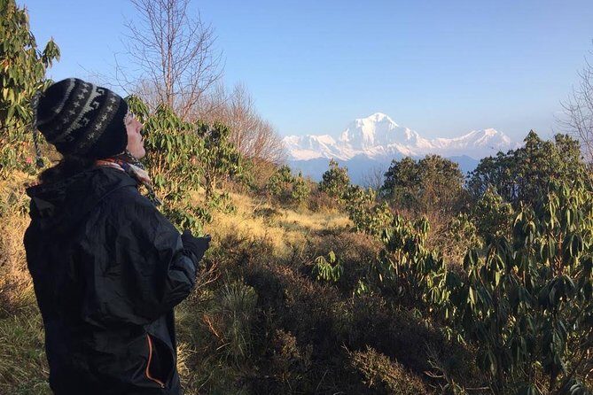 4 Days Poon Hill Trek - An In-Depth Look at the 4 Days Poon Hill Trek
