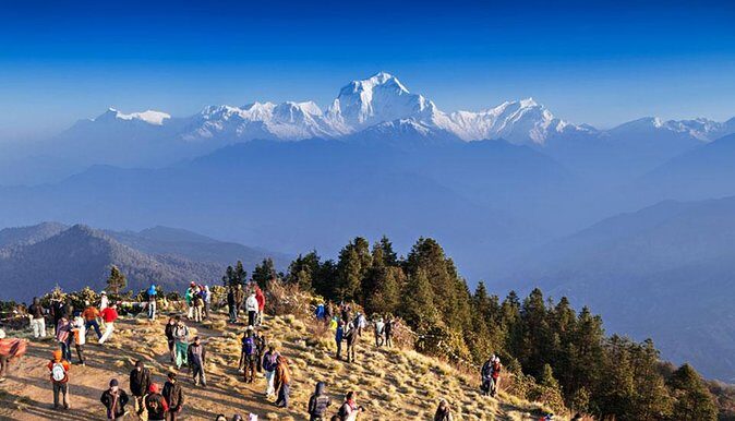 4 Days Poonhill Trek From Pokhara To Pokhara - Transportation, Accommodation, and Overall Value