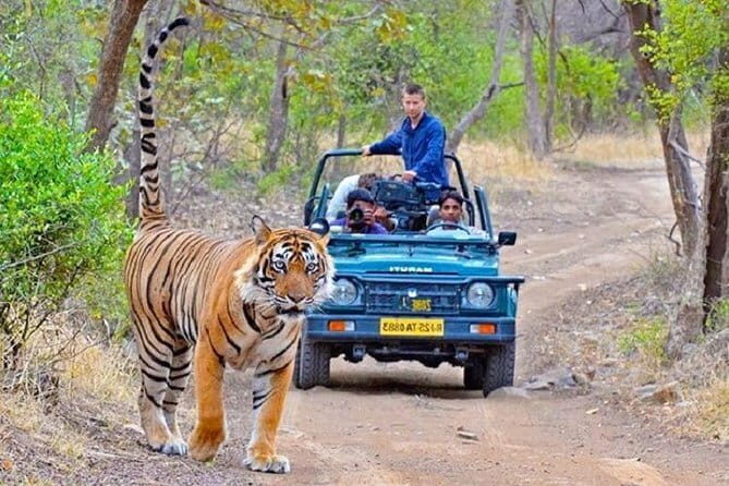 4 Days Private Jaipur and Ranthambore Tour from Delhi - Key Points