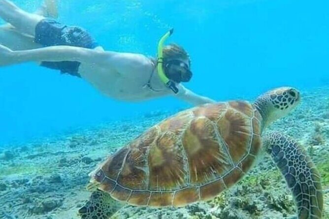4 Days Private Tour Bali Highlights Nusa Penida and Ubud - Who Is This Tour Best For?