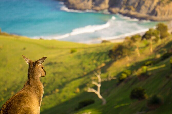 4 Days Private Walking Tour in South Australia - Who Will Appreciate This Tour?