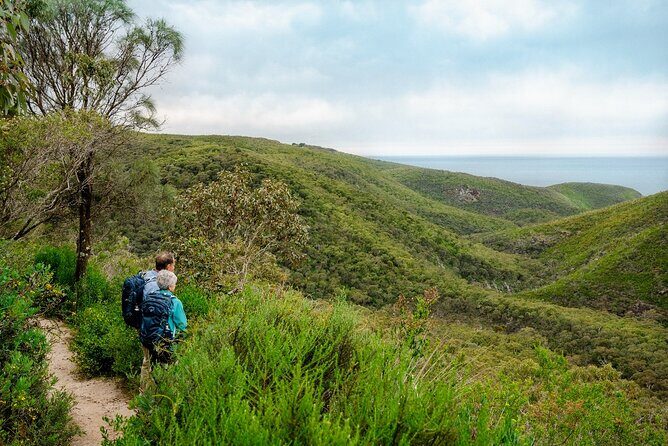 4 Days Private Walking Tour in South Australia - Summing It Up: Is This the Right Tour for You?