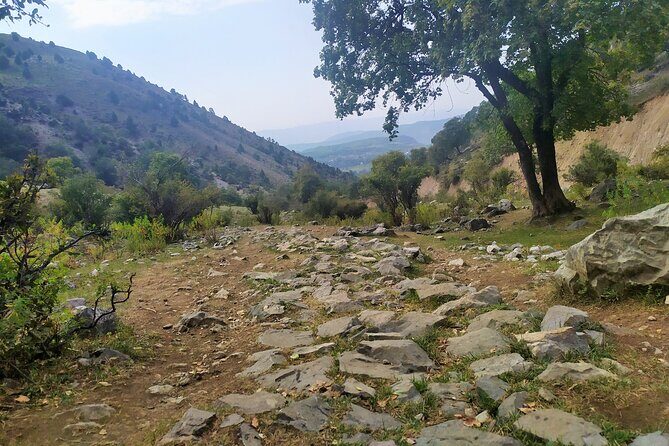 4 days tour to Arslanbob and Sary-Chelek - The Sum Up