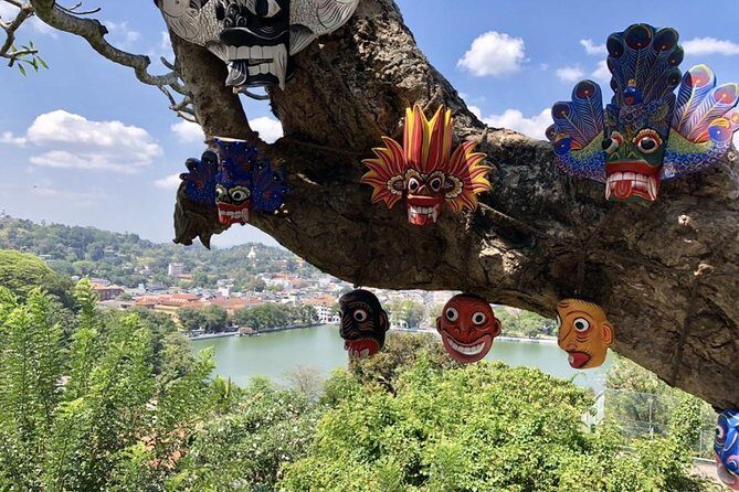4 Days Tour to Kandy, Sigiriya & Nuwara Eliya - Practical Details and Value