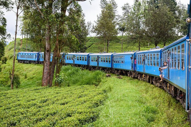 4 Days Tour to Kandy, Sigiriya & Nuwara Eliya - Who Will Love This Tour?