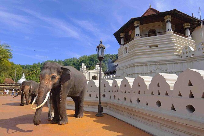 4 Days Tour to Kandy, Sigiriya, Trincomalee & Anuradhapura from Negombo - FAQs