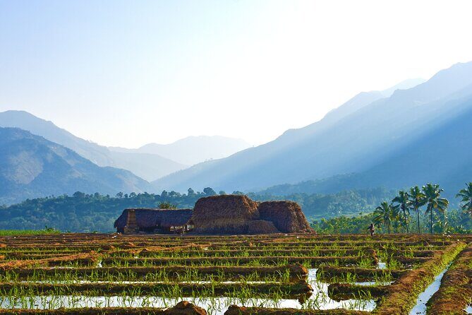 4 days village exploration in Kerala ! - Exploring the Heart of Kerala in Four Days