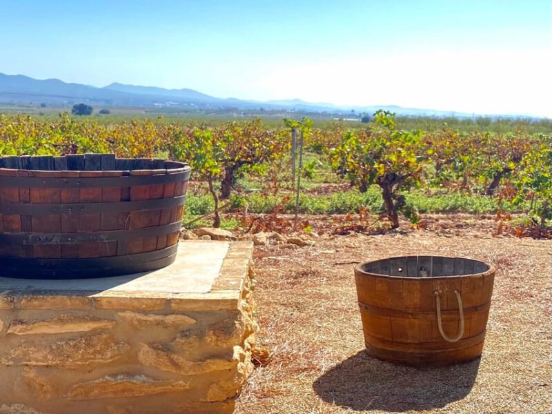 4-days wine trip to Valencia & Requena! 16/9 - 20/9 - 2025 - A Closer Look at the Itinerary