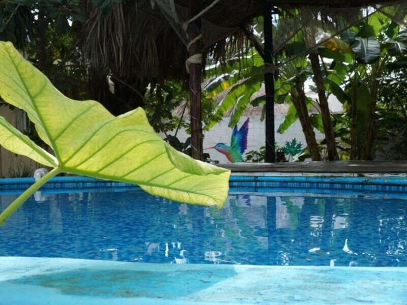 4 Days Yoga, Snorkel and Horseback Riding in Cozumel - Who Will Love This Retreat?