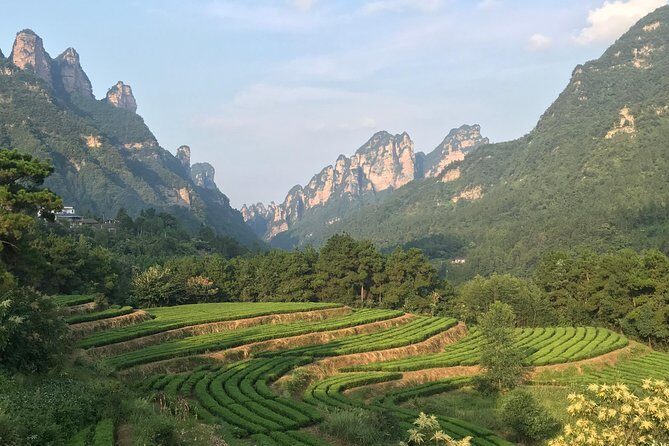 4 Days Zhangjiajie Avatar Panorama Tour & Activities (Classical Boutique Hotel) - FAQ