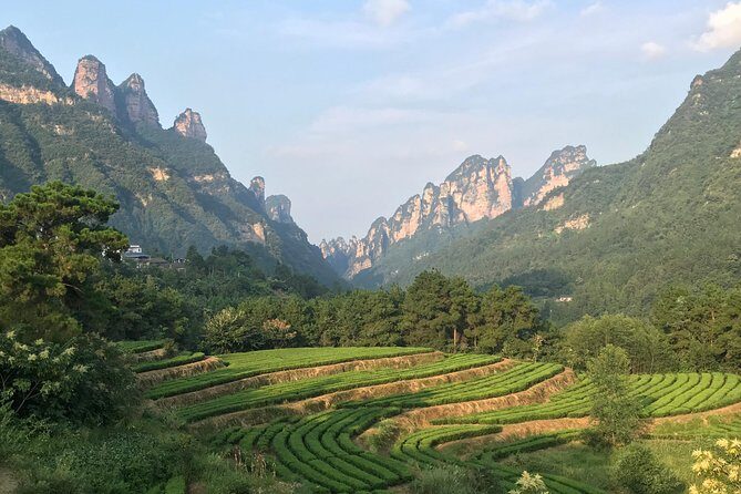 4 Days Zhangjiajie Avatar Panorama Tour & Activities( Hand-picked Featured Inn - Final Thoughts: Is This Tour Worth It?