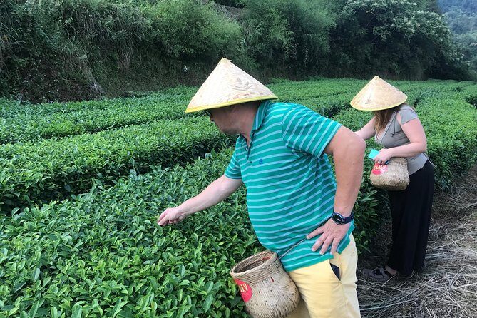 4 Days Zhangjiajie Avatar Panorama Tour & Activities( Hand-picked Featured Inn - FAQ
