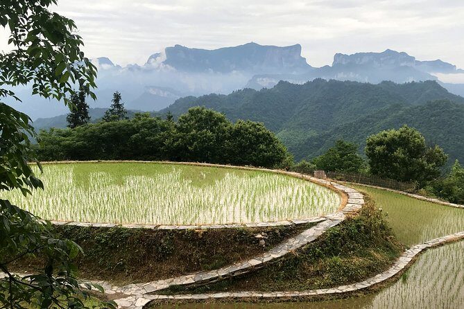 4 Days Zhangjiajie Highlights with Rice Terrace View (Hand-picked Featured Inn) - The Zhangjiajie Experience: What to Expect