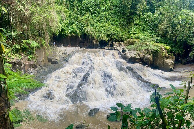 4 Easy Access Waterfalls Private Tour - Discovering Bali’s Hidden Waterfall Gems with Ease