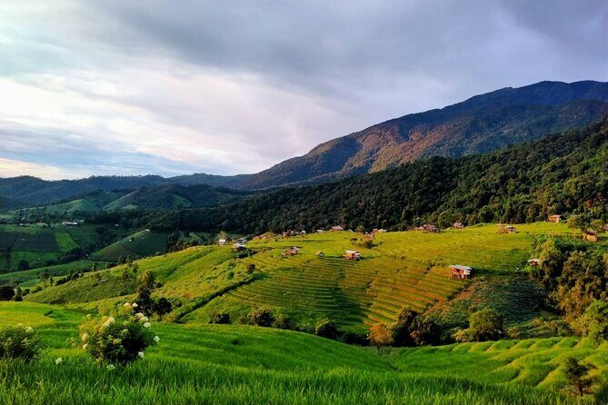 4 EXPERIENCES DAY TRIP. Sticky waterfalls, Elephants, Wat &Market - FAQ