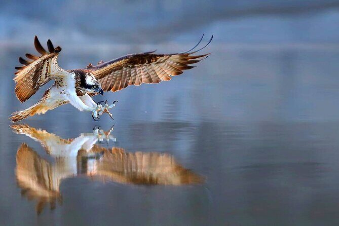 4-Hour, 5-seat ATV Rental next to Bryce National Park - What to Expect from Your Bryce Canyon ATV Adventure