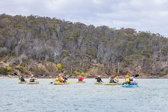 4 Hour Aboriginal Culture Tour Kayaking Pambula River - An In-Depth Look at the Pambula River Aboriginal Kayaking Tour