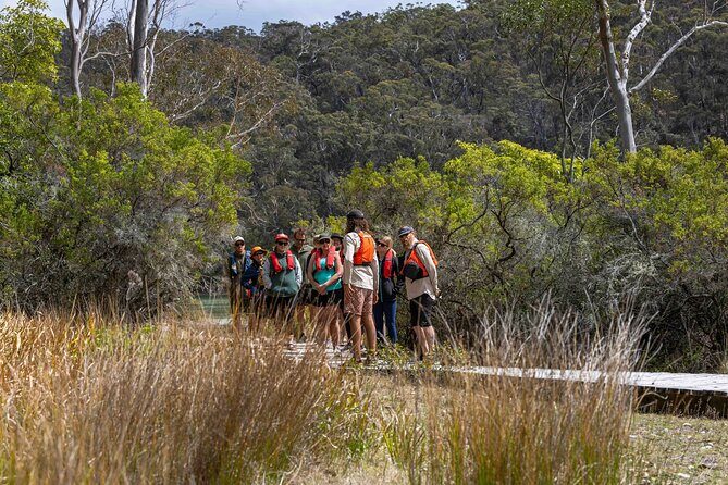 4 Hour Aboriginal Culture Tour Kayaking Pambula River - Who Should Consider This Tour?
