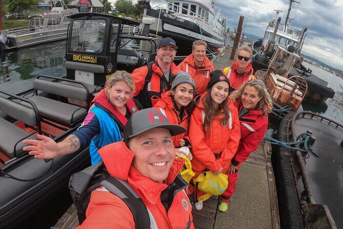 4 Hour Afternoon Whale Watching Tour - The Sum Up