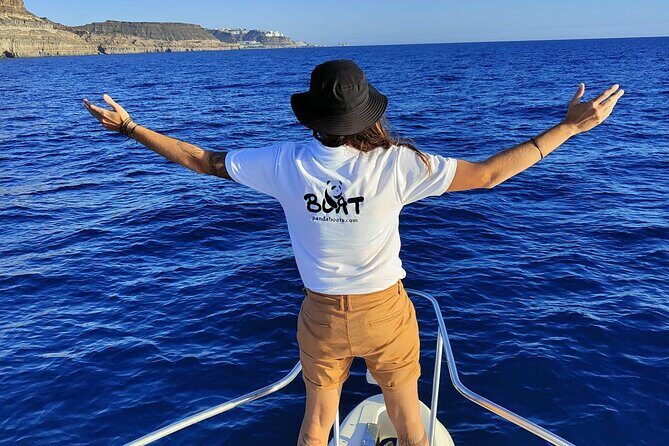 4 Hour Boat Tour with Snorkeling from Puerto Rico and Mogan - The Sum Up