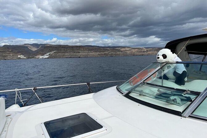 4 Hour Boat Tour with Snorkeling from Puerto Rico and Mogan - FAQ