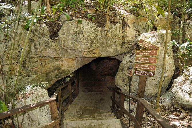 4-Hour Cenotes Tour with Hotel Pickup in Riviera Maya - Frequently Asked Questions